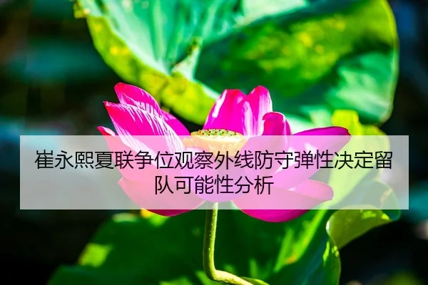 cui-yong-xi-xia-lian-zheng-wei-guan-cha-wai-xian-fang-shou-tan-xing-jue-ding-liu-dui-ke-neng-xing-fen-xi-1-145.jpg