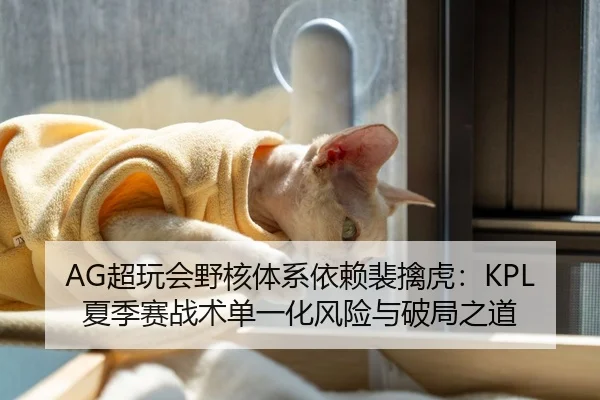 AG超玩会野核体系依赖裴擒虎：KPL夏季赛战术单一化风险与破局之道