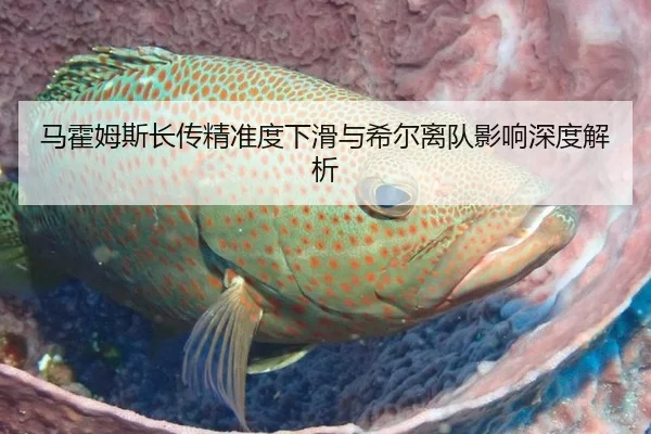马霍姆斯长传精准度下滑与希尔离队影响深度解析